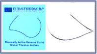 Eurotherm Thermally Active Reverse Curve Arches .016