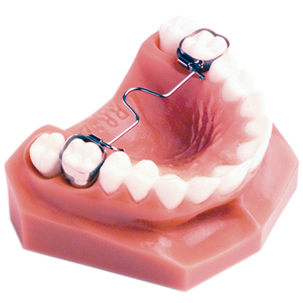 Palatal Arches 41mm