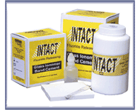 Intact Band Cement Standard Triple Pack 90g